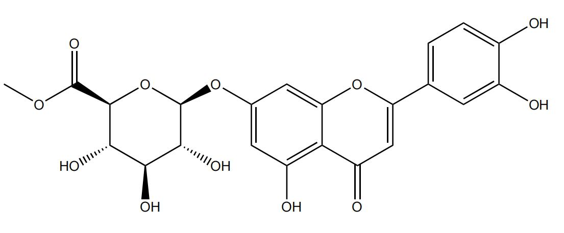 木犀草素-7-O-β-D-葡萄糖醛酸苷甲酯 | CAS No.76939-42-9