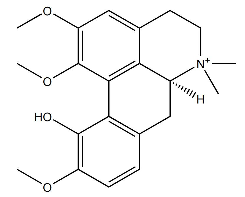 蝙蝠葛任碱 | CAS No.25342-82-9